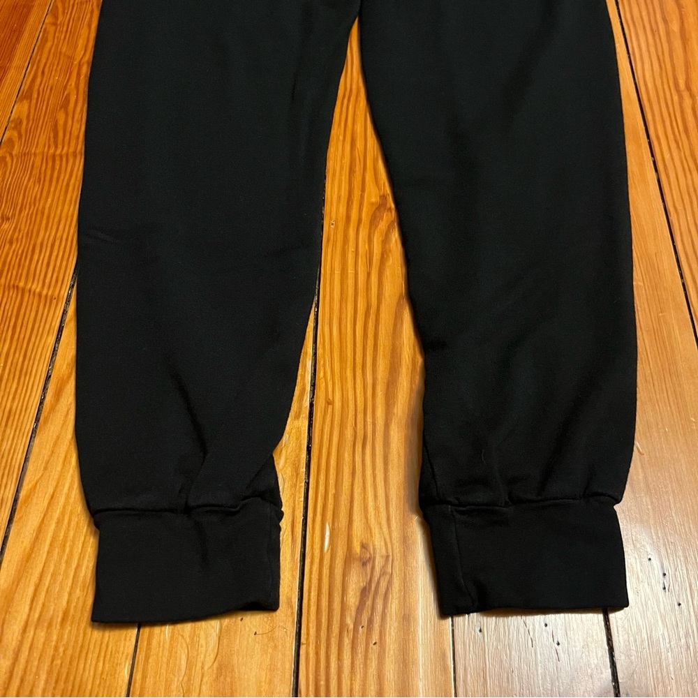 Velvet By Graham and Spencer Dior Stripped Jogger Pants Medium - Picture 7 of 10